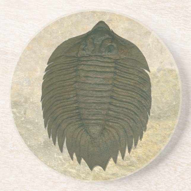 Dessous De Verre En Grès Arctinrus Boltoni Trilobite Fossil (Devant)