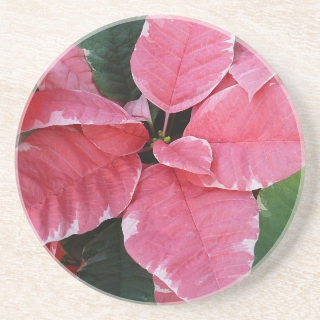 Dessous De Verre En Grès Argent Star Marbre Poinsettias Pink Holiday Floral (Devant)