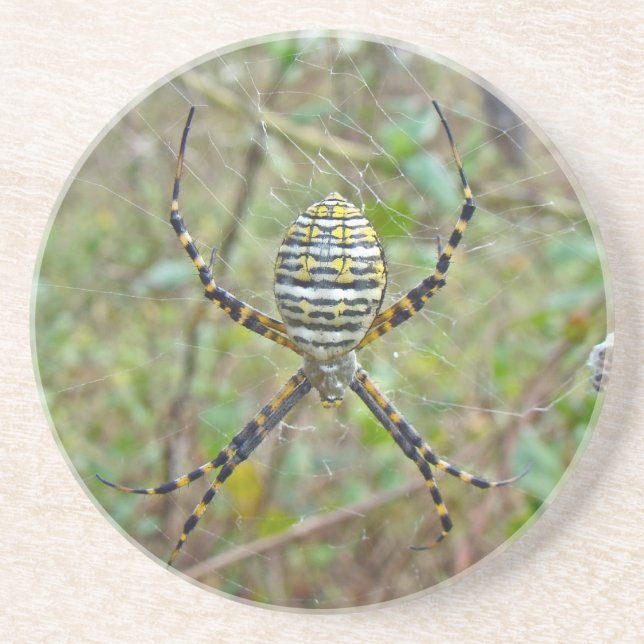 Dessous De Verre En Grès Argiope trifasciata Orb Weaver Spider (Devant)