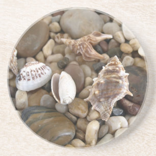 Dessous De Verre En Grès Arrière - plan de Shell de mer
