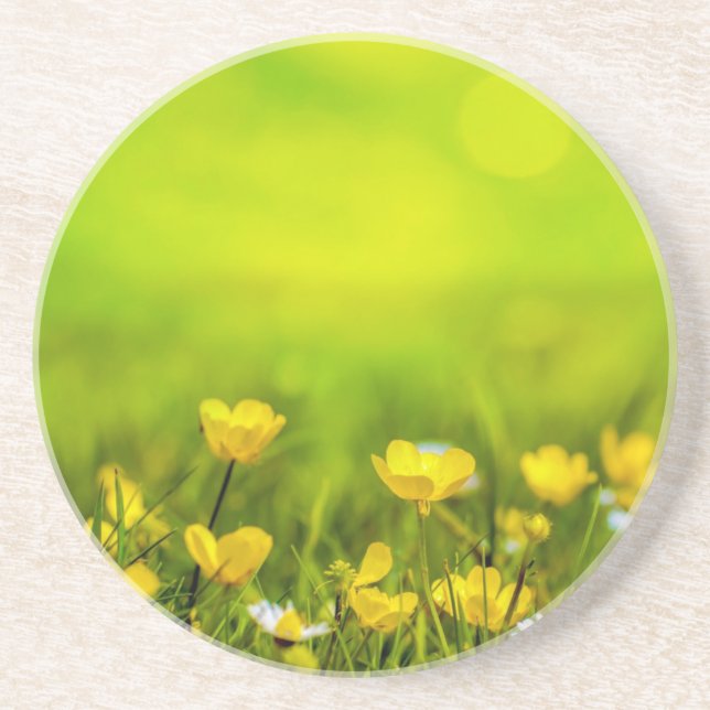 Dessous De Verre En Grès Arrière - plan des fleurs de printemps (Devant)