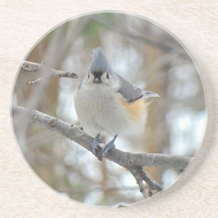 Dessous De Verre En Grès Articles Tufted Titsouris (Baeolophus bicolor)
