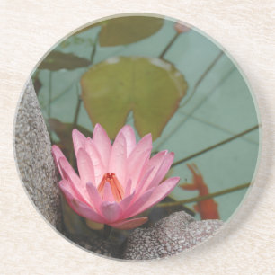 Dessous De Verre En Grès Asie, Viêt Nam. Nénuphar dans un étang de temple