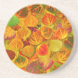 Dessous De Verre En Grès Aspen Feuilles Collage Solid Medley 1