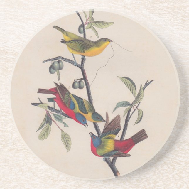 Dessous De Verre En Grès Audubon Peint Bunting Bird Wildlife (Devant)