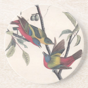 Dessous De Verre En Grès Audubon Peint Bunting Bird Wildlife