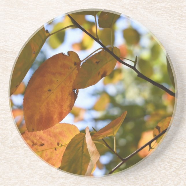 Dessous De Verre En Grès Automne Feuilles Coup d'oeil Automne Photographie  (Devant)