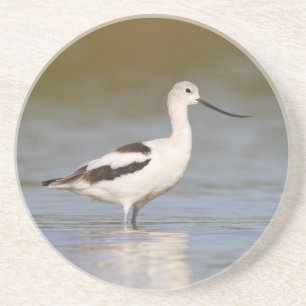 Dessous De Verre En Grès Avocet américain blanc