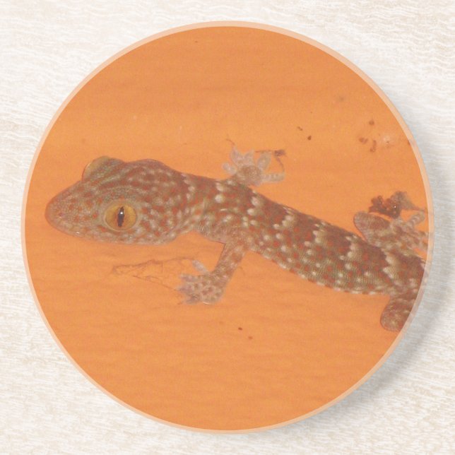 Dessous De Verre En Grès Baby Tokay Gecko (Devant)