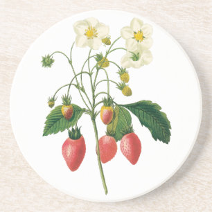 Dessous De Verre En Grès Baies de fruits vintage Redoute