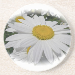 Dessous De Verre En Grès Baise blanche