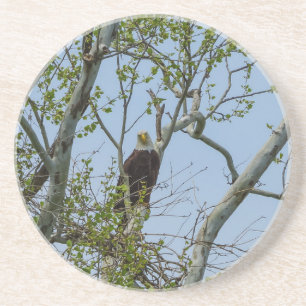 Dessous De Verre En Grès Bald Eagle Smile