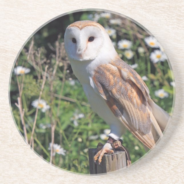 Dessous De Verre En Grès Barn Owl (Devant)