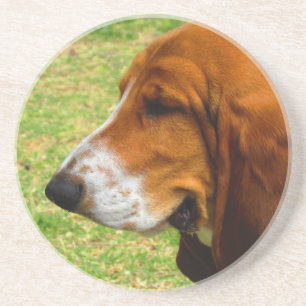 Dessous De Verre En Grès basset-hound.png