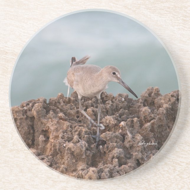 Dessous De Verre En Grès Beach Shorebird Willet avec Arrière - plan de l'oc (Devant)