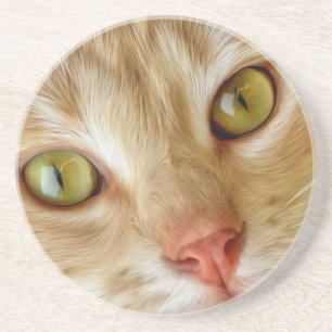 Dessous De Verre En Grès Beau chat dans la rue