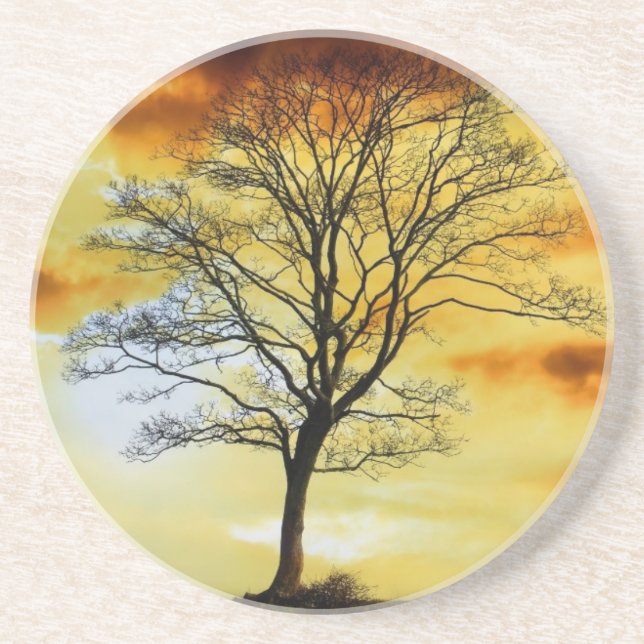 Dessous De Verre En Grès Beau coucher de soleil paysage Pittoresque Art pho (Devant)