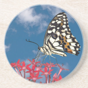 Dessous De Verre En Grès Beau Papillon