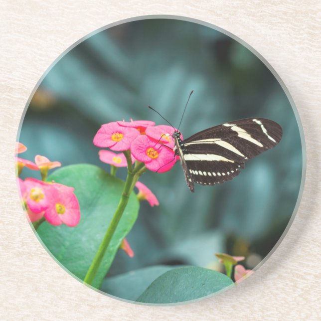 Dessous De Verre En Grès Beau papillon sur une fleur rose (Devant)