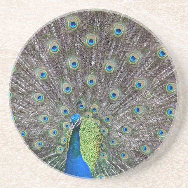 Dessous De Verre En Grès Beau Peacock (Devant)