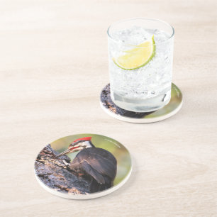 Dessous De Verre En Grès Beau pic pilé sur l'arbre