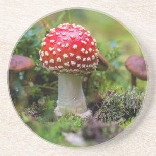 Dessous De Verre En Grès Beauté d'automne