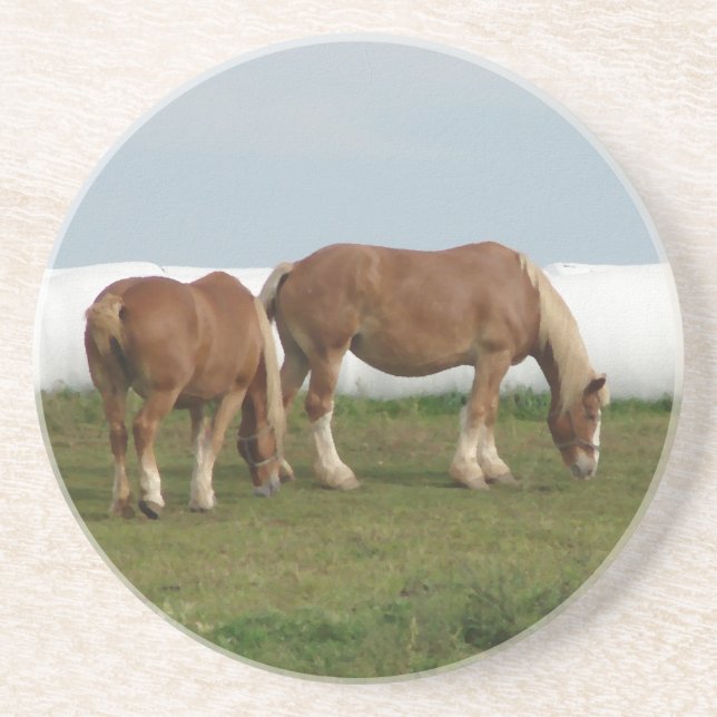 Dessous De Verre En Grès Belgique (Devant)