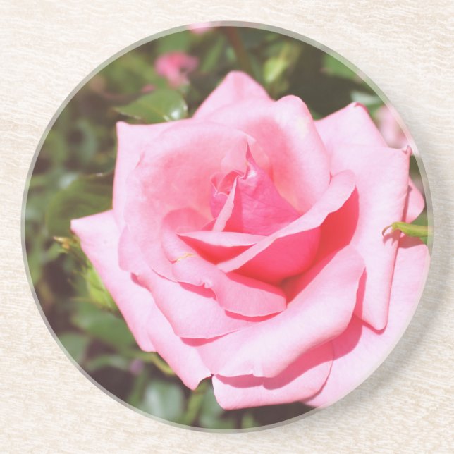Dessous De Verre En Grès belle rose rose fleur aux coeurs doux (Devant)