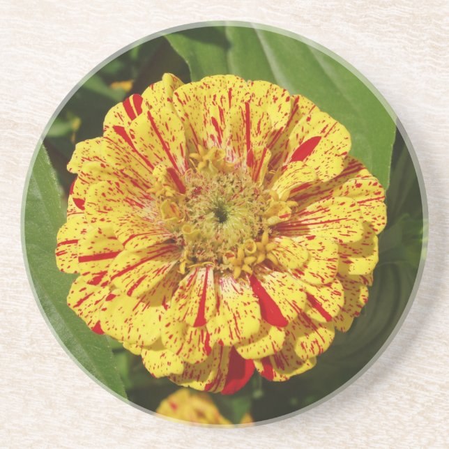 Dessous De Verre En Grès Belle Zinnia (Devant)