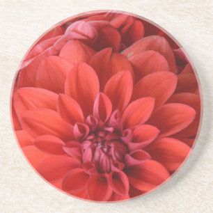 Dessous De Verre En Grès Belles fleurs de dahlia rouge