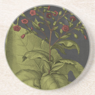 Dessous De Verre En Grès Besler Dramatique I