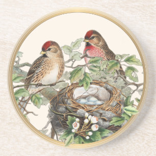 Dessous De Verre En Grès Bird Nest Redpoll Spring Nature Vintage Gold Frame