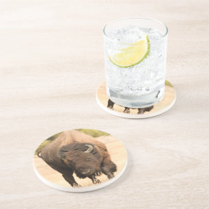 Dessous De Verre En Grès Bison