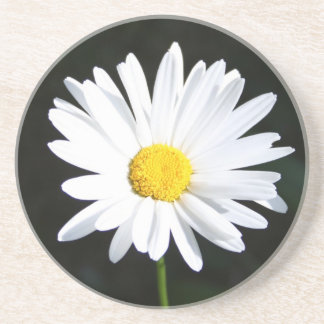 Dessous de verre en grès blanc