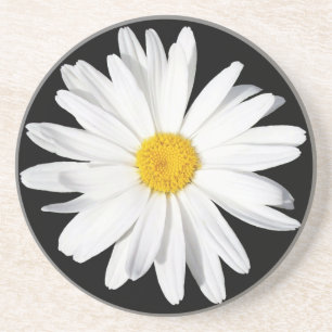 Dessous de verre en grès blanc Shasta Daisy