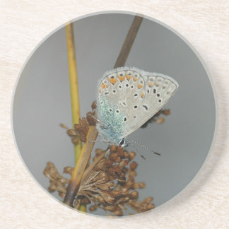 Dessous De Verre En Grès Bleu blanc orange avec points noirs Papillon