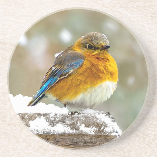 Dessous De Verre En Grès Bleuet de l'Est en neige - Photo originale (Devant)