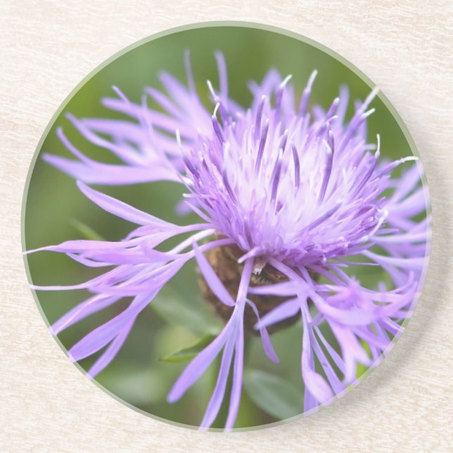 Dessous De Verre En Grès Bleuet pourpre (Devant)