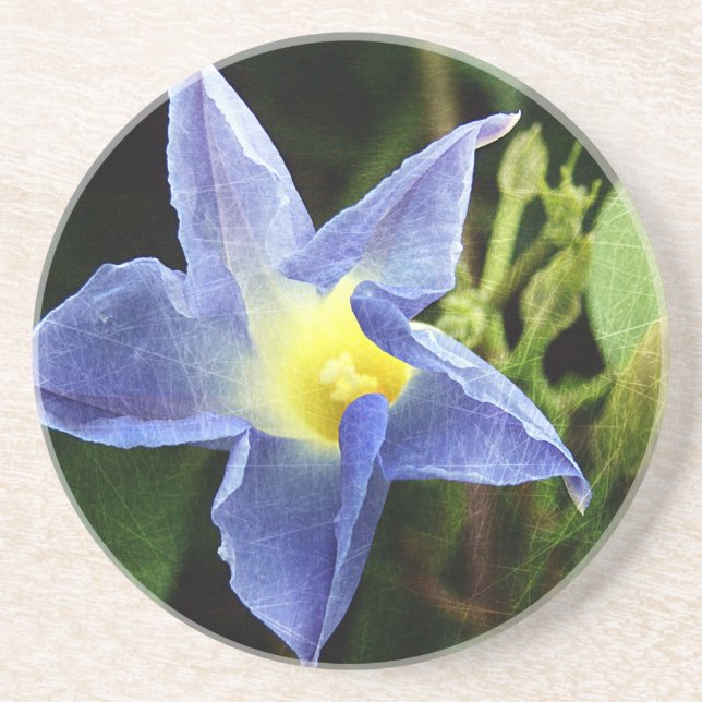 Dessous De Verre En Grès Blue Morning Glory Flower (Devant)