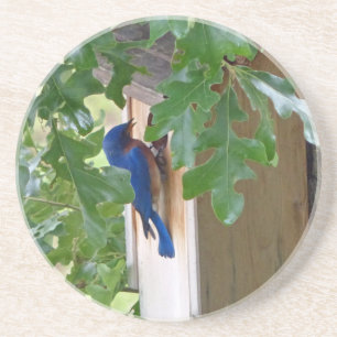 Dessous De Verre En Grès Bluebird à la maison
