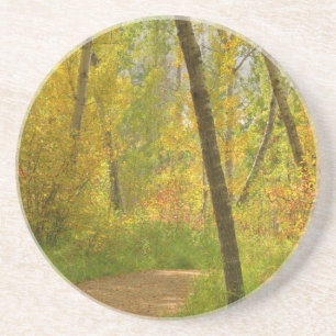 Dessous De Verre En Grès Bois d'automne