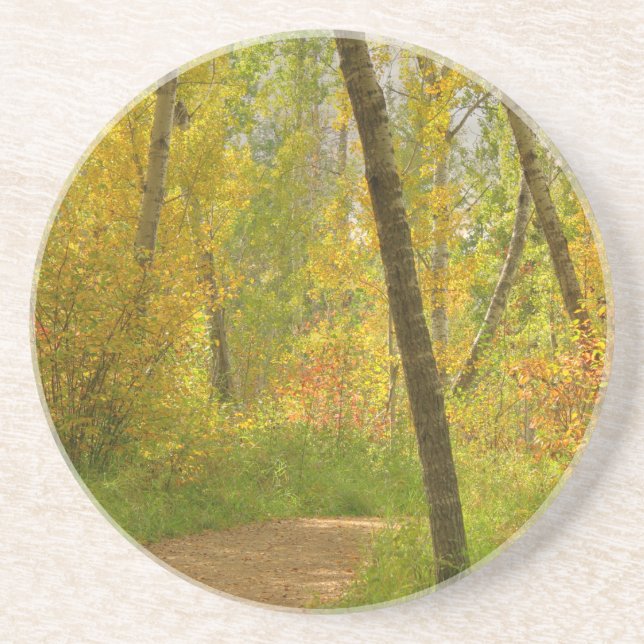 Dessous De Verre En Grès Bois d'automne (Devant)