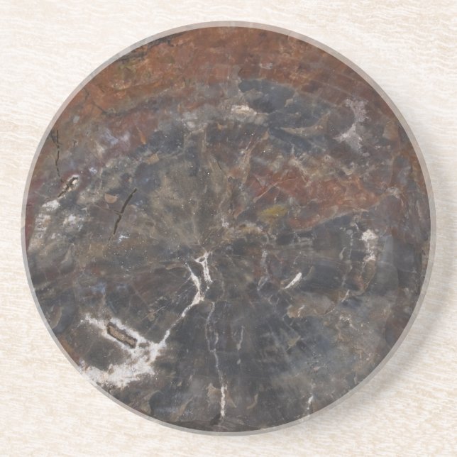Dessous De Verre En Grès Bois Petrified 03 (Devant)