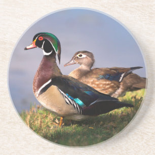 Dessous De Verre En Grès Bord de lac, Canard branchu