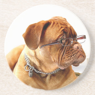 Dessous De Verre En Grès Bordeauxdog