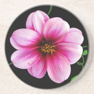 Dessous De Verre En Grès Botanique pâlissez - la fleur rose de dahlia sur