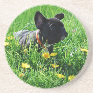 Dessous De Verre En Grès Bouledogue français prairie Bouledogue Français
