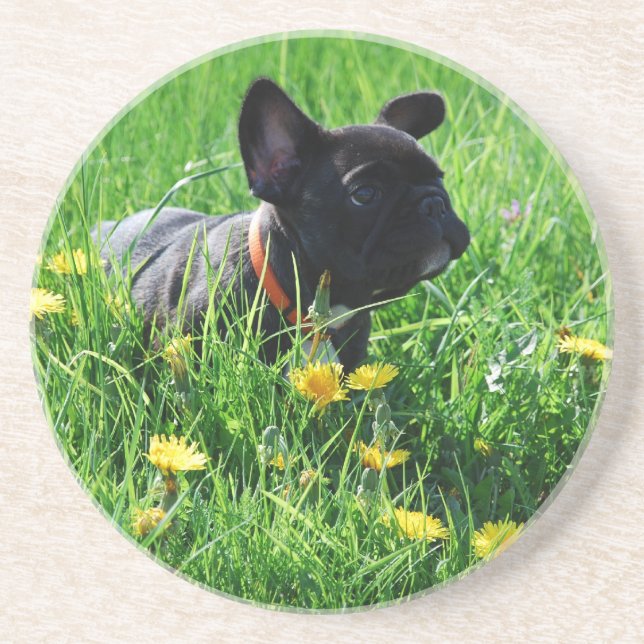 Dessous De Verre En Grès Bouledogue français prairie Bouledogue Français (Devant)