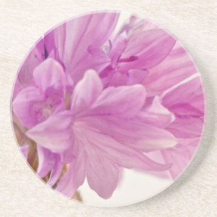 Dessous De Verre En Grès Bouton de mise à jour