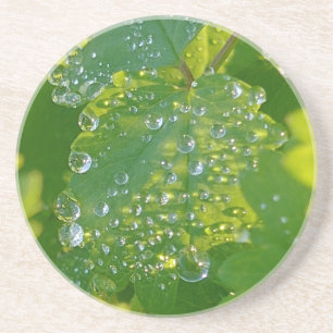 Dessous De Verre En Grès Boutons cool Sur Feuille Verte